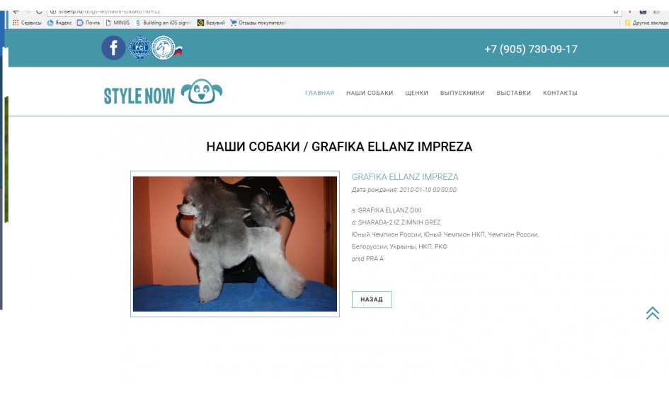 Питомник "Style Now"